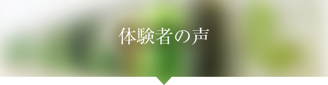 体験者の声